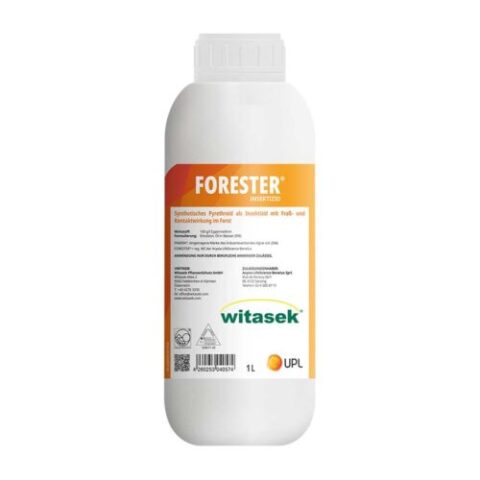 512351_Forester-1l_01