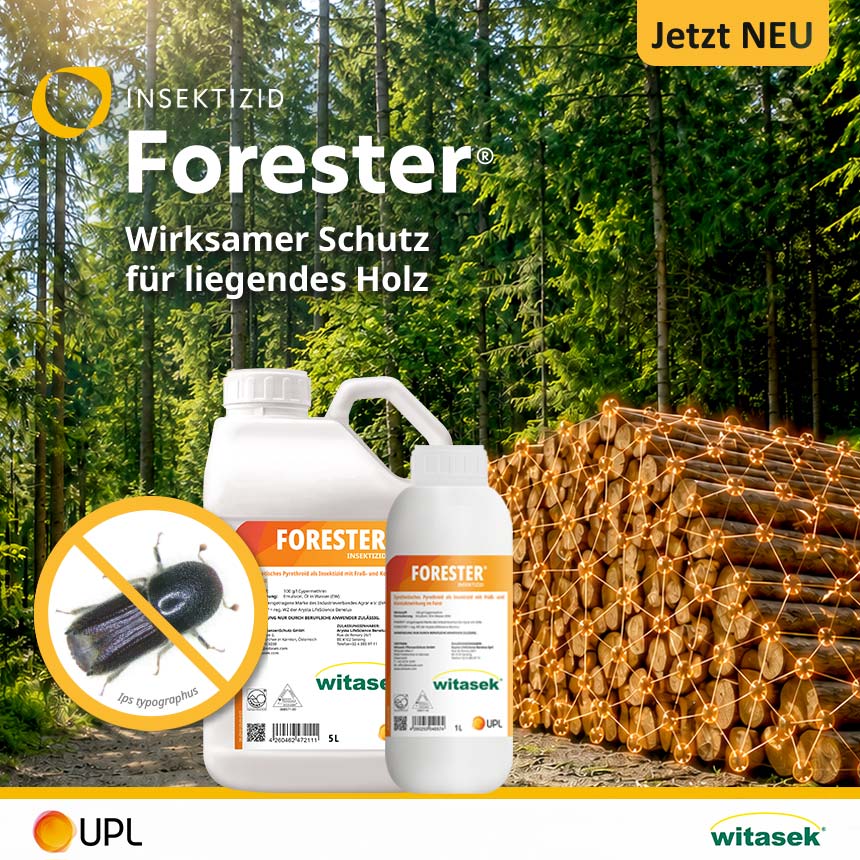 512351_Forester_Borkenkaefer_01
