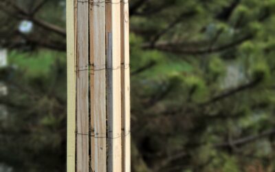Wita®Pro Baumschutz – stabiler und langlebiger Baumschutz aus Holz